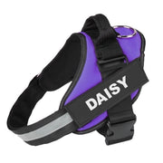 IVORY ISLE- Personalized No Pull Dog Harness