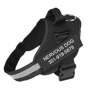 IVORY ISLE- Personalized No Pull Dog Harness