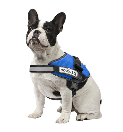 IVORY ISLE- Personalized No Pull Dog Harness